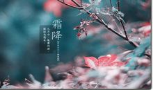 暖意绵绵的冬天句子 超治愈的霜降文案