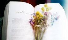 教师节写给老师的句子