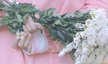 花式夸闺蜜的友情句子