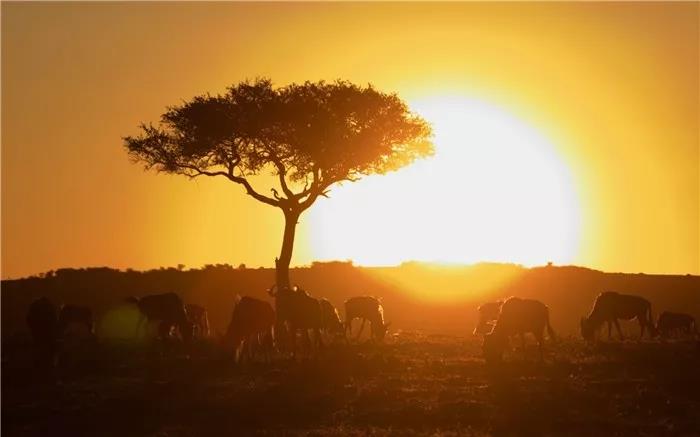 心疲倦的抑郁性烦躁句子1
