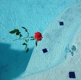 2020年都印童话宝藏