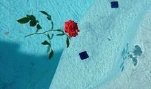 2020抖音神仙宝藏文案