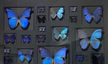 心酸的句子说说心情