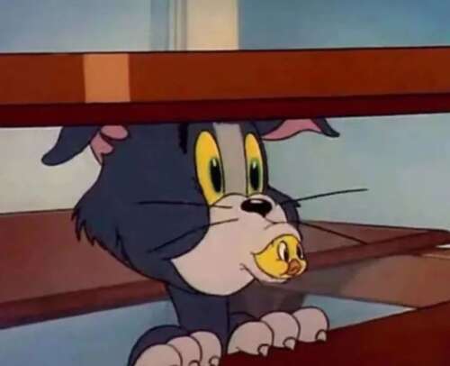 那些新鲜精致的沙雕句子