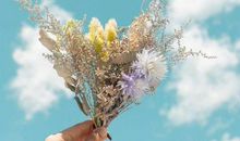 治愈系清新文案 小句子