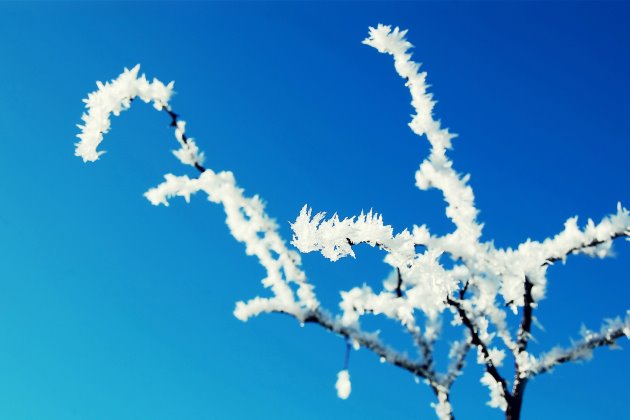 Frostdrop谈论经典句子,情绪短语