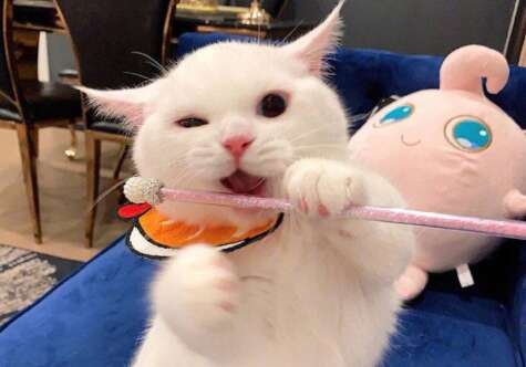 裸体朋友圈幽默文案搞笑短句子