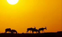 经典祝福语在全