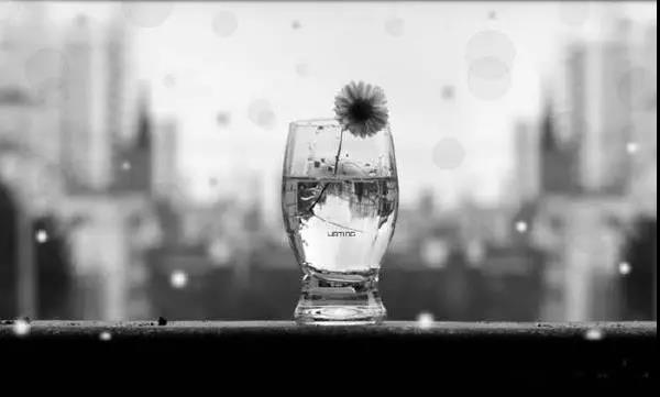 关于爱情的悲伤的简短句子