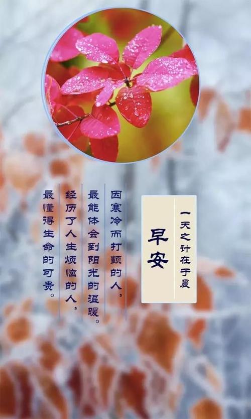 朋友们早上好微信圈