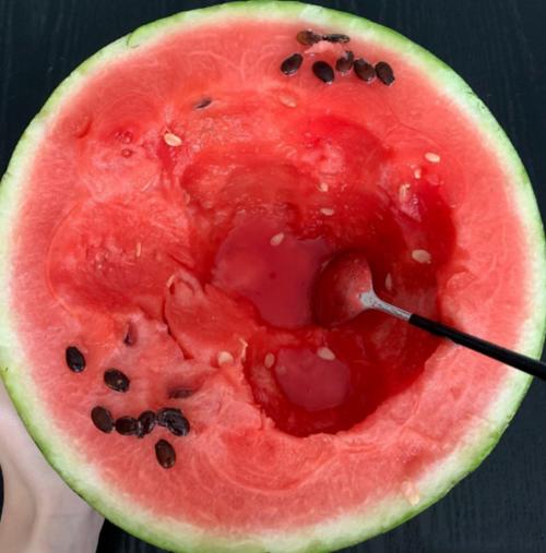 谈论朋友的夏日圈子