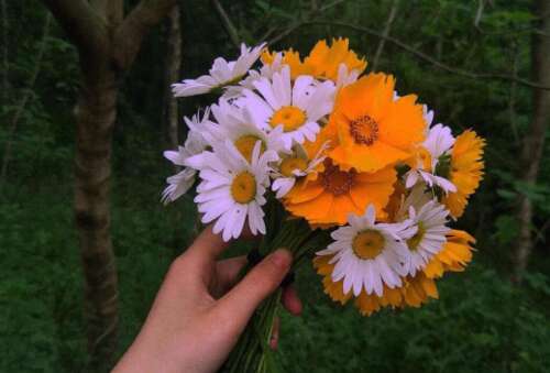 2020年新的早安句子