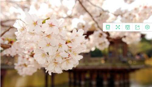 朋友圈中的好句子，高品质的个性