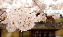 朋友圈说说的好句子 高质量个性