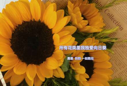 早上好，令人感动