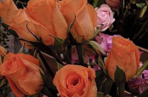 在窦音上非常流行的签名,有趣而幽默