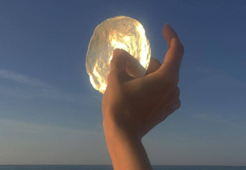 寂寞的一句话,杜固的悲伤心情