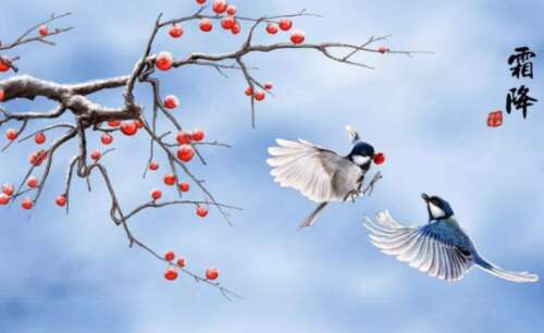 弗罗斯特诗最美丽的弗罗斯特诗