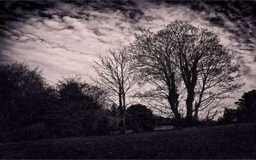 想家时要记住的句子2