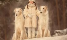 下雪的幽默句子