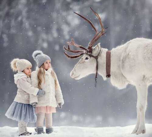 适合姐妹送朋友的文案