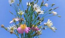 未来可期的正能量句子，