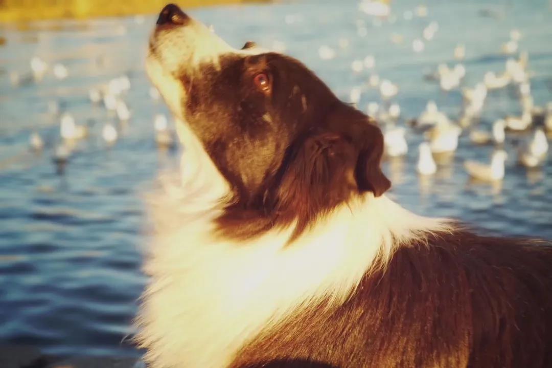 文案写作适合分手