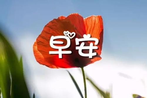 一句话早安