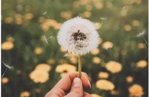 帮助和感激的句子