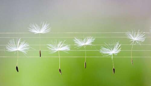 帮助和感激的句子1