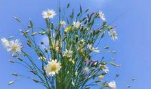 微信朋友圈开心句子说说心情