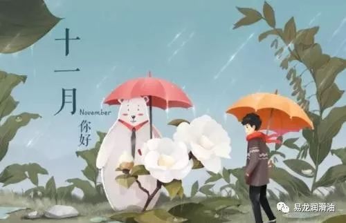 谈论您11月的朋友圈的个性