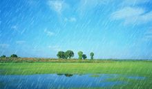 下雨感慨的说说心情