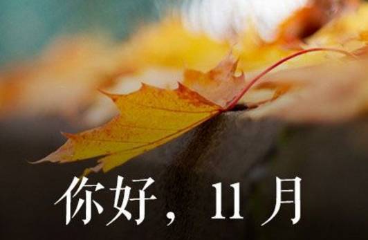 谈论您11月的朋友圈的个性