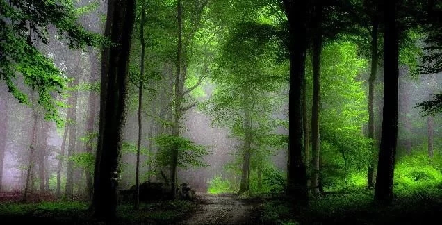 丈夫每天的悲伤句子2