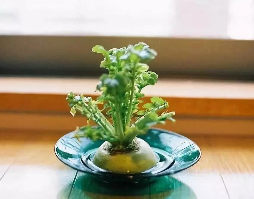 简短的文学和新鲜的短句