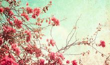 为了钱心烦的句子