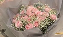 夸赞女人最经典的句子