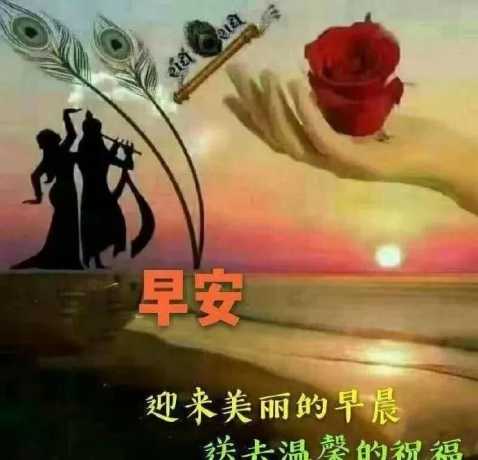 早上向情人致意