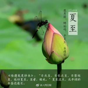 夏至时朋友圈里的句子