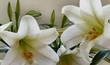 充满斗志霸气外露的句子