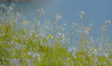 努力奋斗的句子正能量