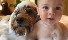 孩子出生时开心的句子