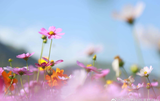 快乐简单的英语句子