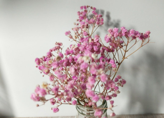 快乐简单英语句子2