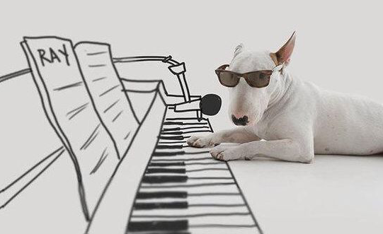 可爱句子快乐句子1