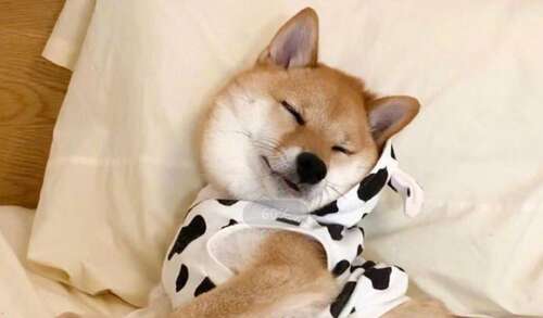 让女孩开心的搞笑句子2