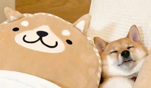 使女孩开心的有趣句子1