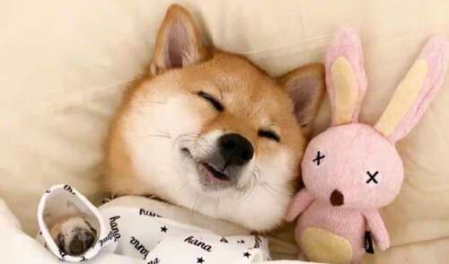 女孩的有趣句子