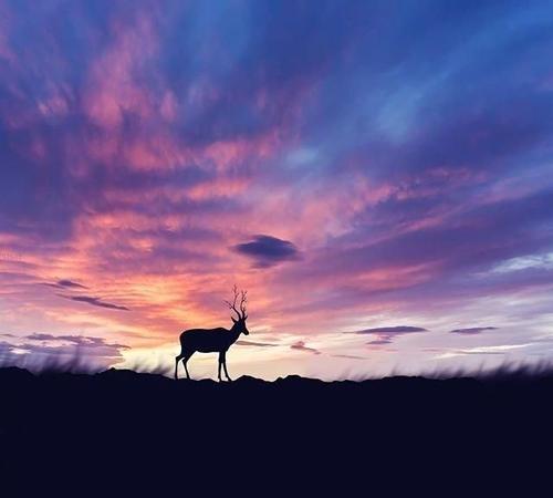 形容爱情的句子